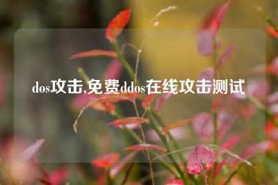 dos攻击,免费ddos在线攻击测试