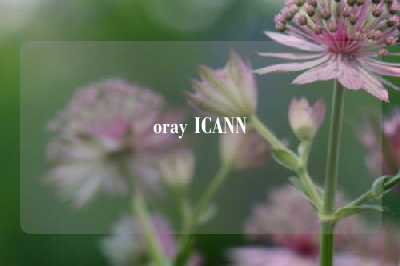 oray ICANN