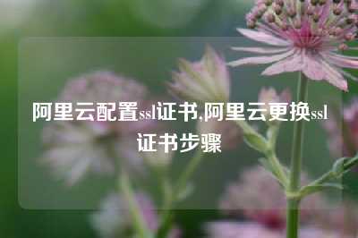 阿里云配置ssl证书,阿里云更换ssl证书步骤