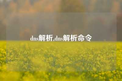 dns解析,dns解析命令