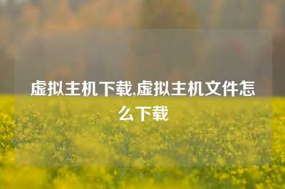 虚拟主机下载,虚拟主机文件怎么下载