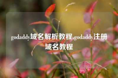 godaddy域名解析教程,godaddy注册域名教程