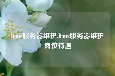 linux服务器维护,linux服务器维护岗位待遇
