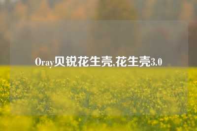 Oray贝锐花生壳,花生壳3.0