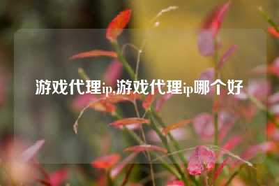 游戏代理ip,游戏代理ip哪个好