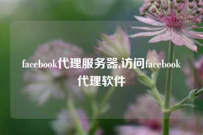 facebook代理服务器,访问facebook代理软件