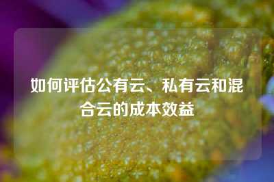如何评估公有云、私有云和混合云的成本效益