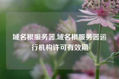 域名根服务器,域名根服务器运行机构许可有效期