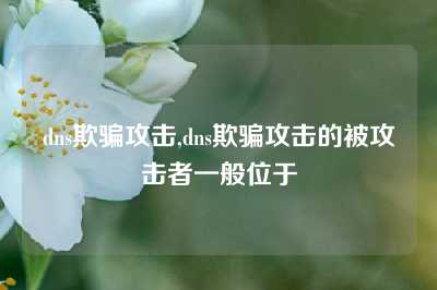 dns欺骗攻击,dns欺骗攻击的被攻击者一般位于
