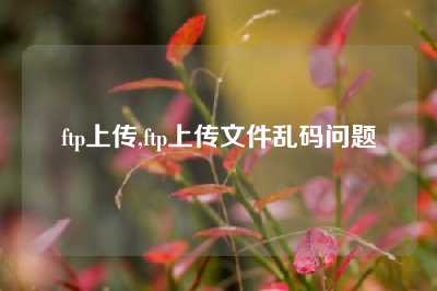 ftp上传,ftp上传文件乱码问题