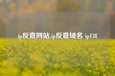 ip反查网站,ip反查域名 ip138