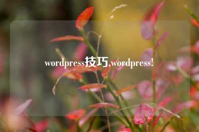 wordpress技巧,wordpress!