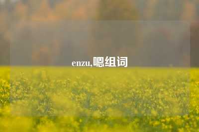 enzu,嗯组词