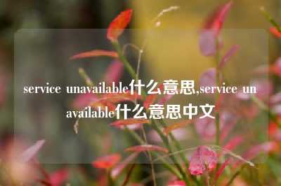service unavailable什么意思,service unavailable什么意思中文
