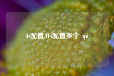 iis配置,IIS配置多个 api