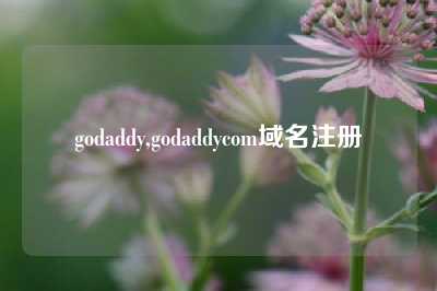 godaddy,godaddycom域名注册