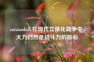 zaixiandaili,在现代立体化战争中,火力仍然是战斗力的核心