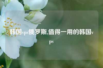 韩国vps俄罗斯,值得一用的韩国vps