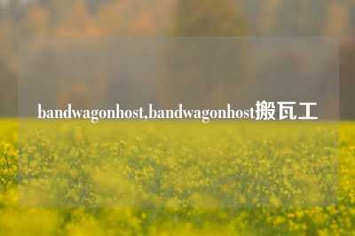 bandwagonhost,bandwagonhost搬瓦工