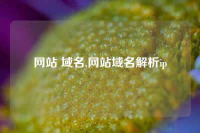 网站 域名,网站域名解析ip