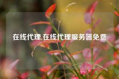 在线代理,在线代理服务器免费