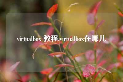 virtualbox 教程,virtualbox在哪儿