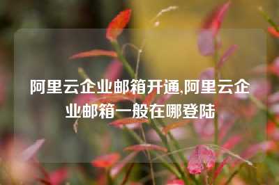 阿里云企业邮箱开通,阿里云企业邮箱一般在哪登陆