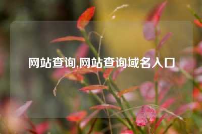 网站查询,网站查询域名入口