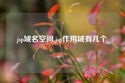 jsp域名空间,jsp作用域有几个