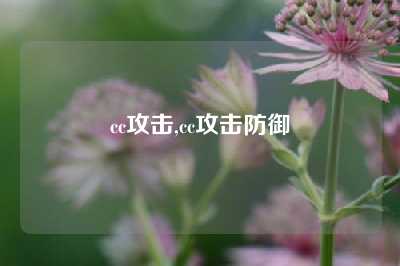 cc攻击,cc攻击防御