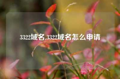3322域名,3322域名怎么申请