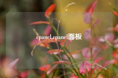 cpanel,cpanel面板