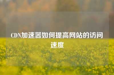 CDN加速器如何提高网站的访问速度
