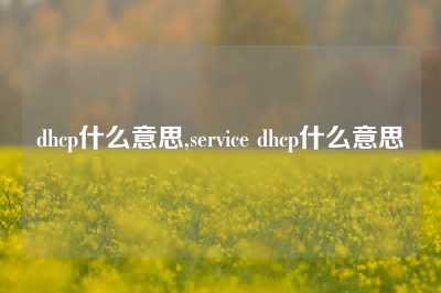 dhcp什么意思,service dhcp什么意思