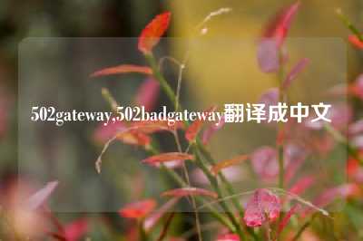 502gateway,502badgateway翻译成中文