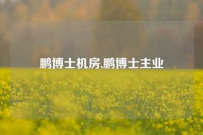 鹏博士机房,鹏博士主业