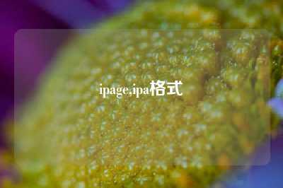 ipage,ipa格式