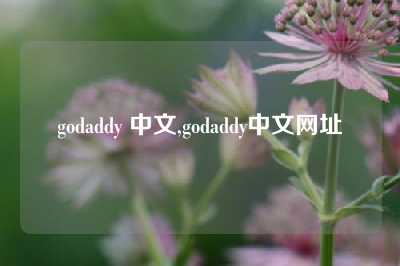 godaddy 中文,godaddy中文网址
