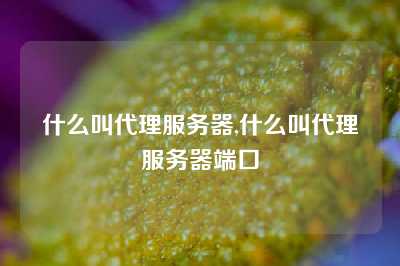 什么叫代理服务器,什么叫代理服务器端口