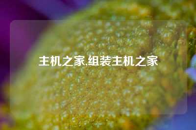 主机之家,组装主机之家