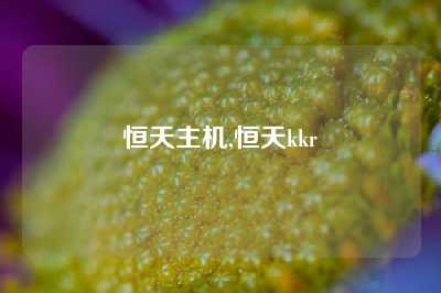 恒天主机,恒天kkr