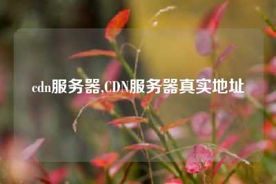 cdn服务器,CDN服务器真实地址