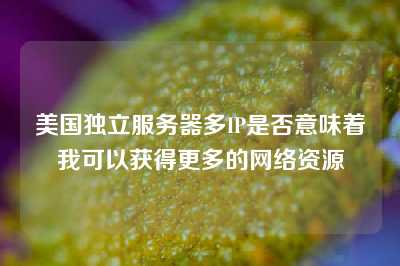 美国独立服务器多IP是否意味着我可以获得更多的网络资源