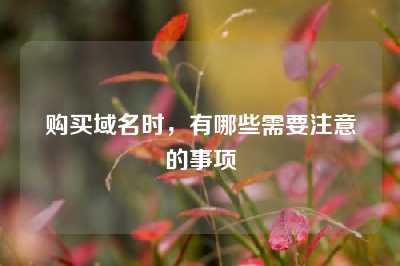 购买域名时，有哪些需要注意的事项