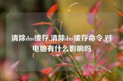 清除dns缓存,清除dns缓存命令,对电脑有什么影响吗