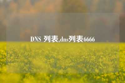 DNS 列表,dns列表6666