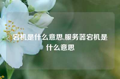 宕机是什么意思,服务器宕机是什么意思