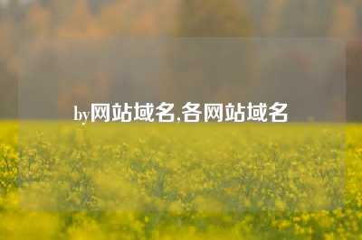 by网站域名,各网站域名