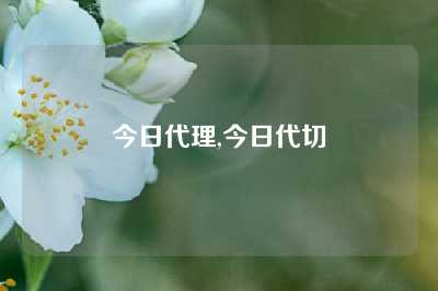 今日代理,今日代切
