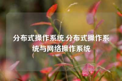 分布式操作系统,分布式操作系统与网络操作系统